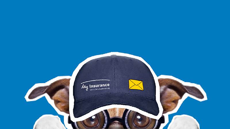 Bruno mit Kappe