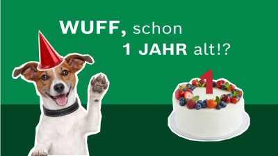 Bruno der Hund mit seinem Kuchen zu seinem 1. Geburtstag